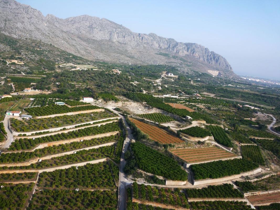 Land for sale in Sanet and Negrals, Alicante photo 4