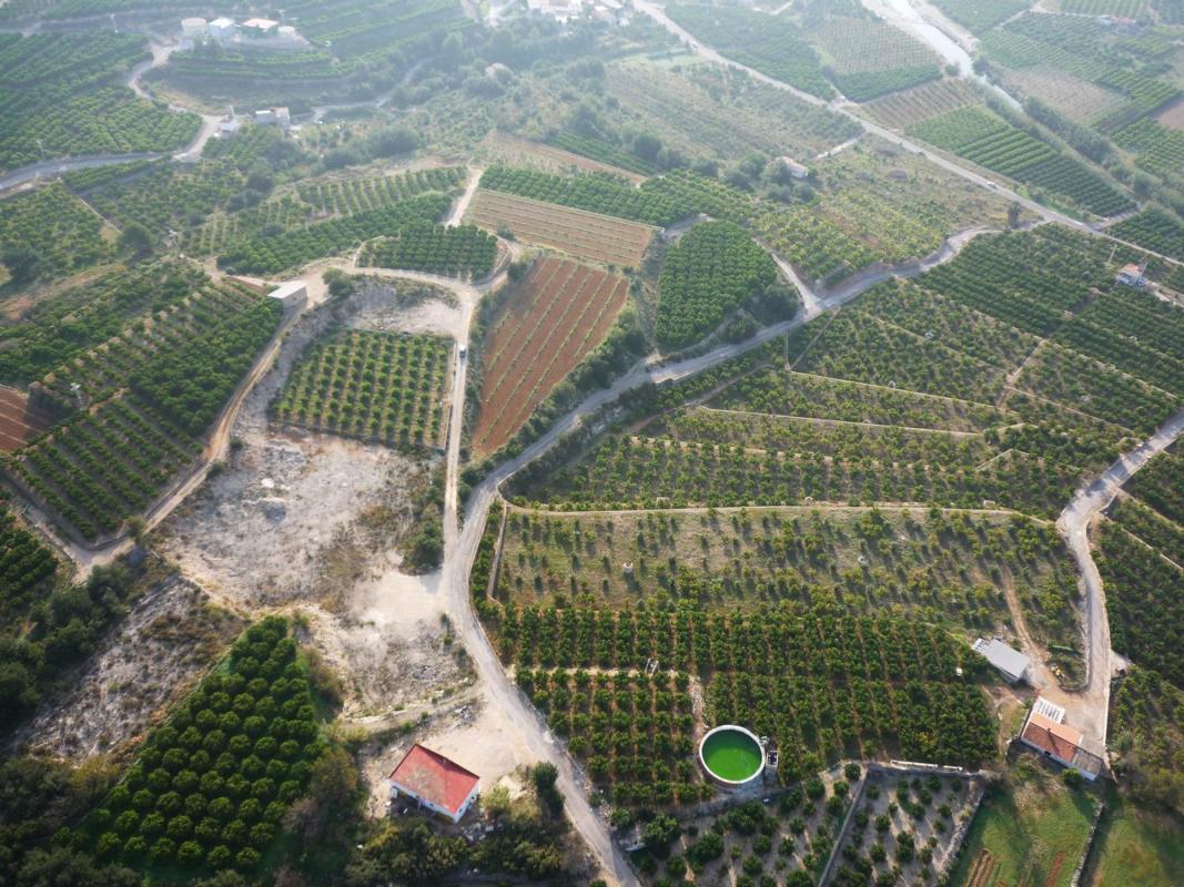 Land for sale in Sanet and Negrals, Alicante photo 5