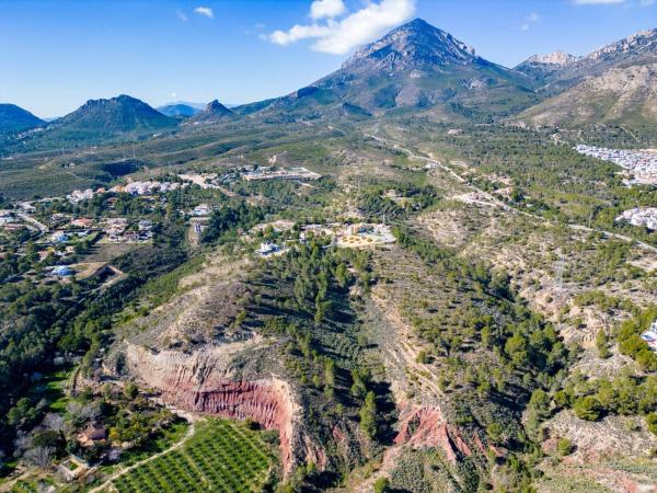 Terreno en Alcolecha photo
