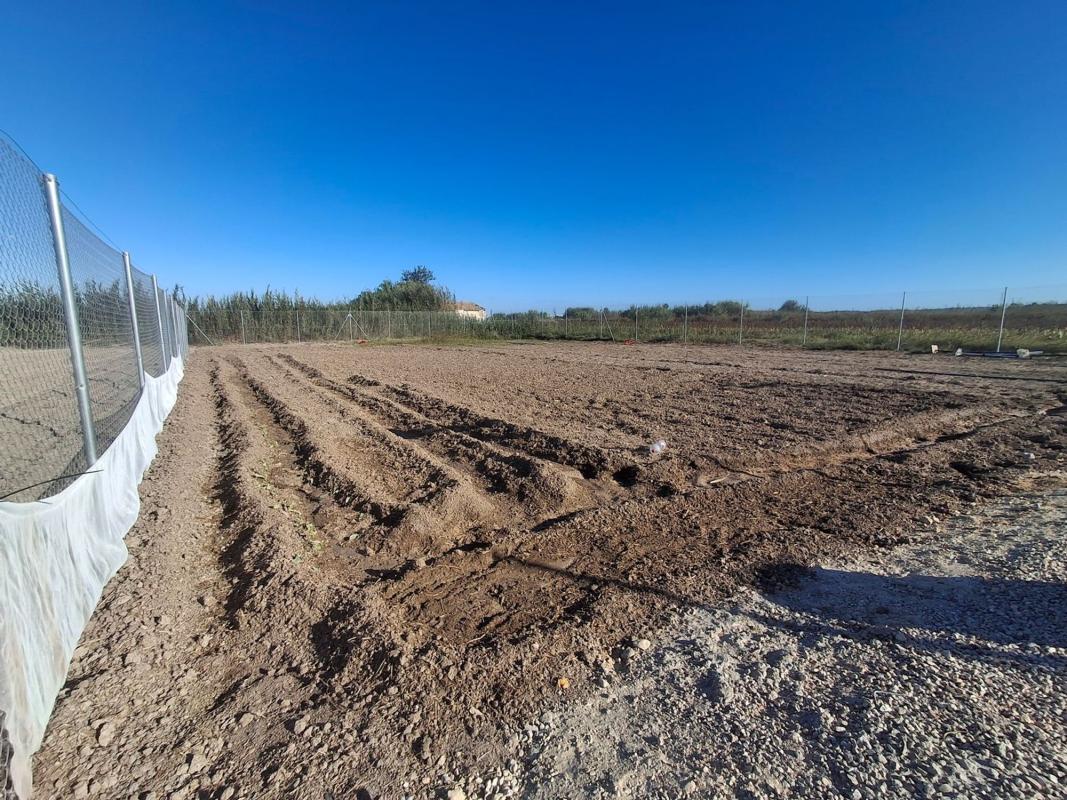 Terreno en venta en San Fulgencio, Alicante photo 5