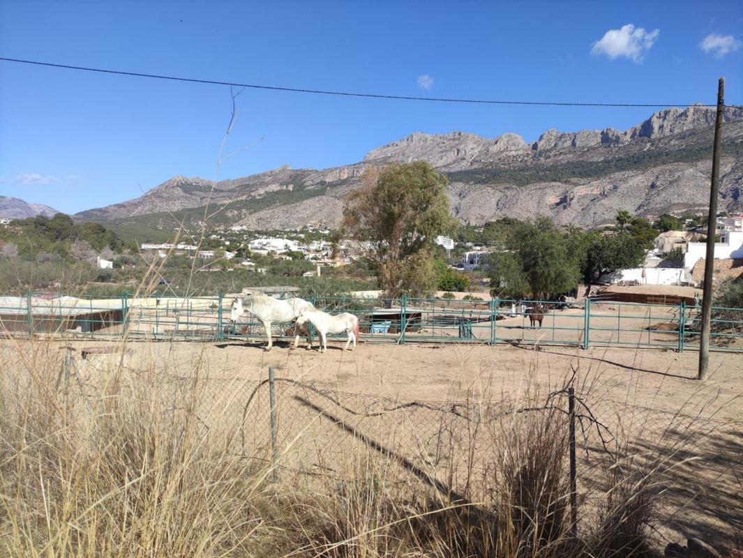 Terreno en venta en Altea, Alicante photo 1