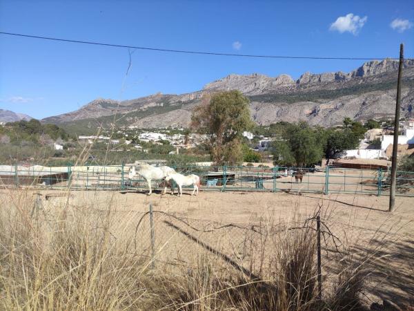 Terreno en Altea la Vella, Altea photo
