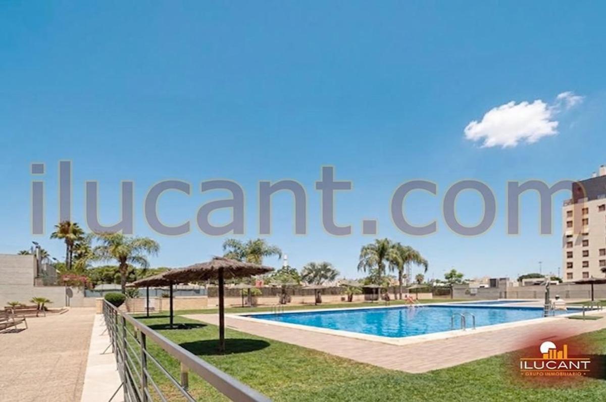Продажа квартиры на Piso en Paus, Alicante / Alacant, Аликанте / Алакант
photo 1