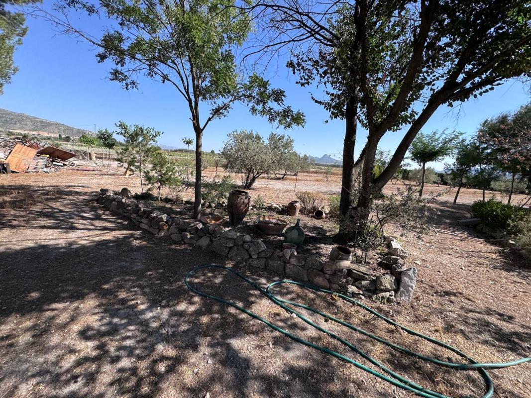 Sprzedaż działki rolnej w Finca rústica en San Juan, Las Tiesas, Villena , Villena photo 2