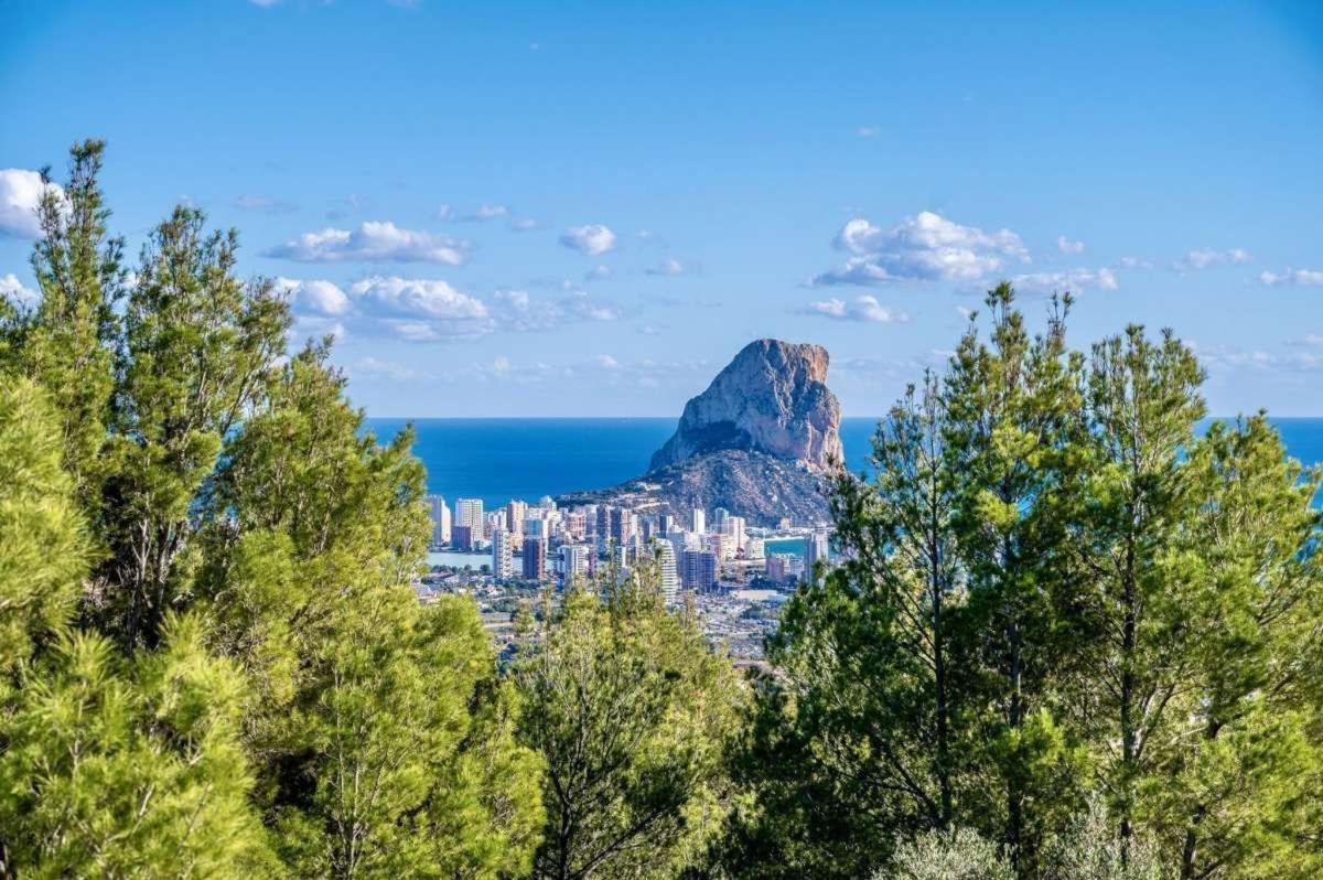 Properties for sale and rent in Spain photo 3