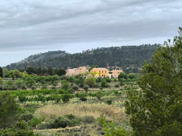 Rustic farm for sale in Finca rústica en Monovar , Monovar thumbnail 3