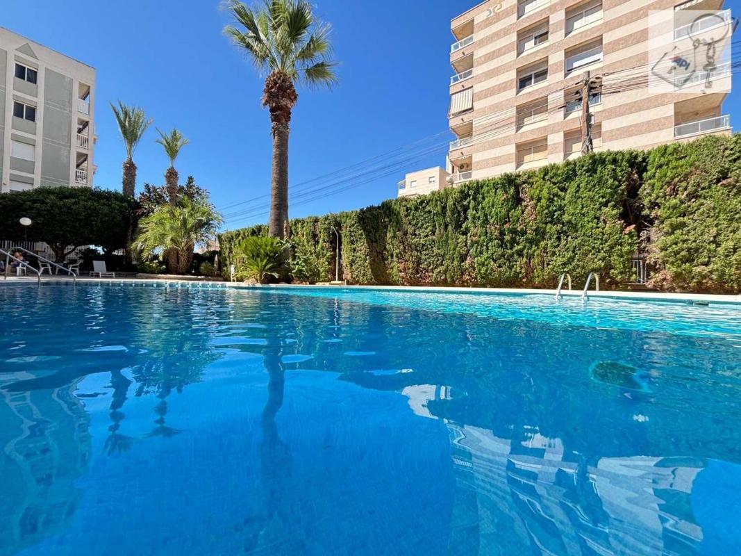 Продажа квартиры на Piso en Calle Marcelina, 78, Nueva Torrevieja, Torrevieja, Торревьеха
photo 3