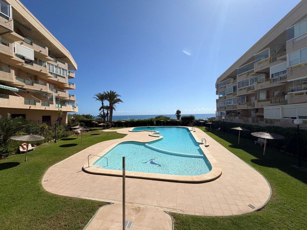 Продажа студии в Estudio en Urbanizacion Mil Palmeras Vistamar, Mil Palmeras, Pilar de la Horadada, Пилар де ла Орадада photo 1