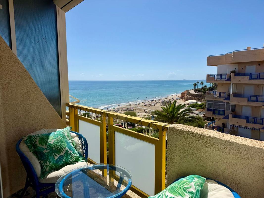 Продажа студии в Estudio en Urbanizacion Mil Palmeras Vistamar, Mil Palmeras, Pilar de la Horadada, Пилар де ла Орадада photo 5