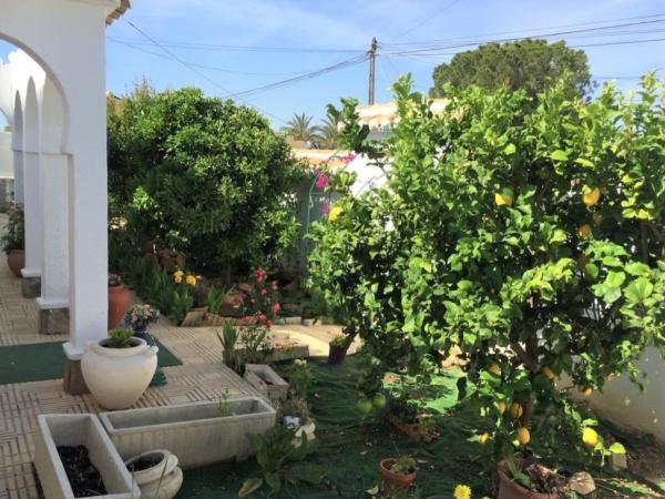Casa para una familia numerosa, Torrevieja
photo 1