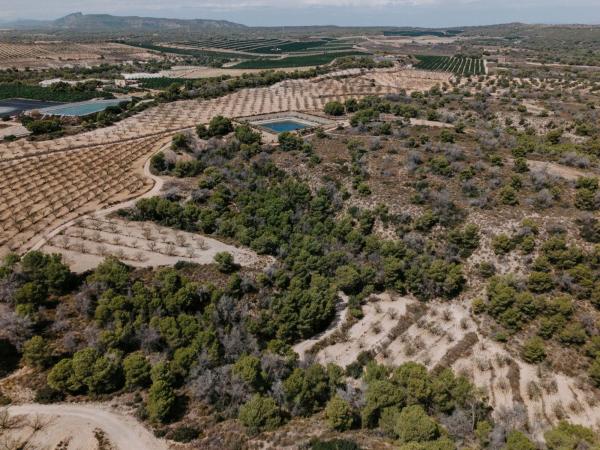 Cortijo en Poligono 15, 9, Pinar de Campoverde, Pilar de la Horadada photo 1