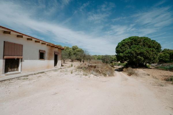 Cortijo en Poligono 15, 9, Pinar de Campoverde, Pilar de la Horadada photo 4