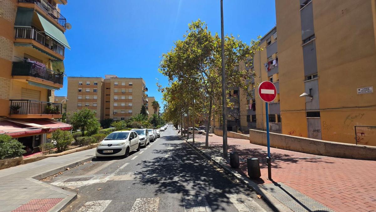 Sale of apartment in Piso en Calle Santa Cruz de Tenerife, Colonia Requena - Virgen del Carmen, Alicante / Alacant, Alicante
photo 5