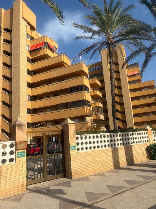 Venta de piso en Piso en San Bartolome Tirajana, 51, Arenales del Sol, Elche / Elx, Elche / Elx
photo 5