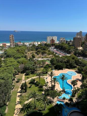Sale of flat in Piso en Avenida Murtal, Playa de Poniente, Benidorm, Benidorm
 photo 4