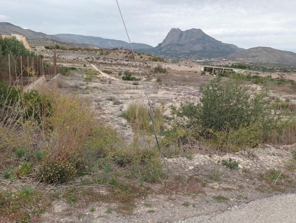 Terreno en Partida Palmisar, El Secanet - Hacienda del Sol, La Villajoyosa / Vila Joiosa photo 1