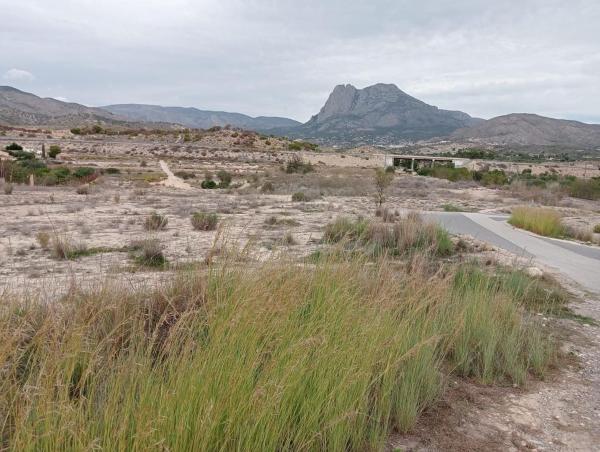Terreno en Partida Palmisar, El Secanet - Hacienda del Sol, La Villajoyosa / Vila Joiosa photo 2