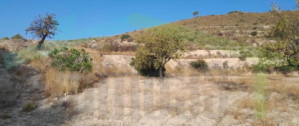 Terreno en Camino Macaroves, Relleu photo 3