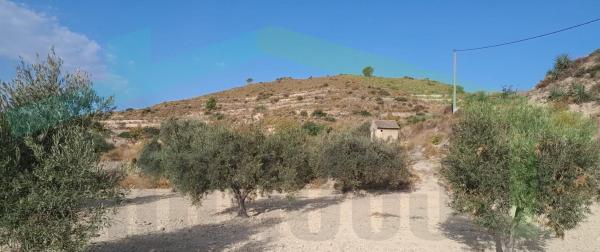 Terreno en Camino Macaroves, Relleu photo 4