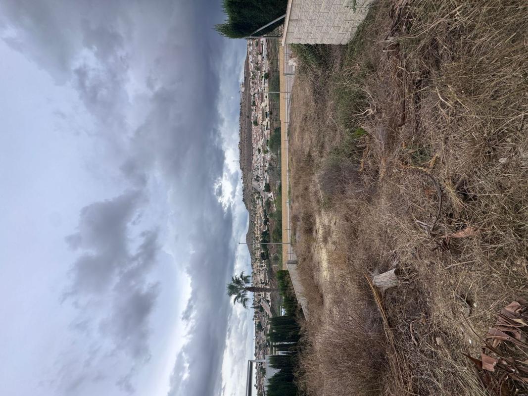Land for sale in Benijofar, Alicante photo 5