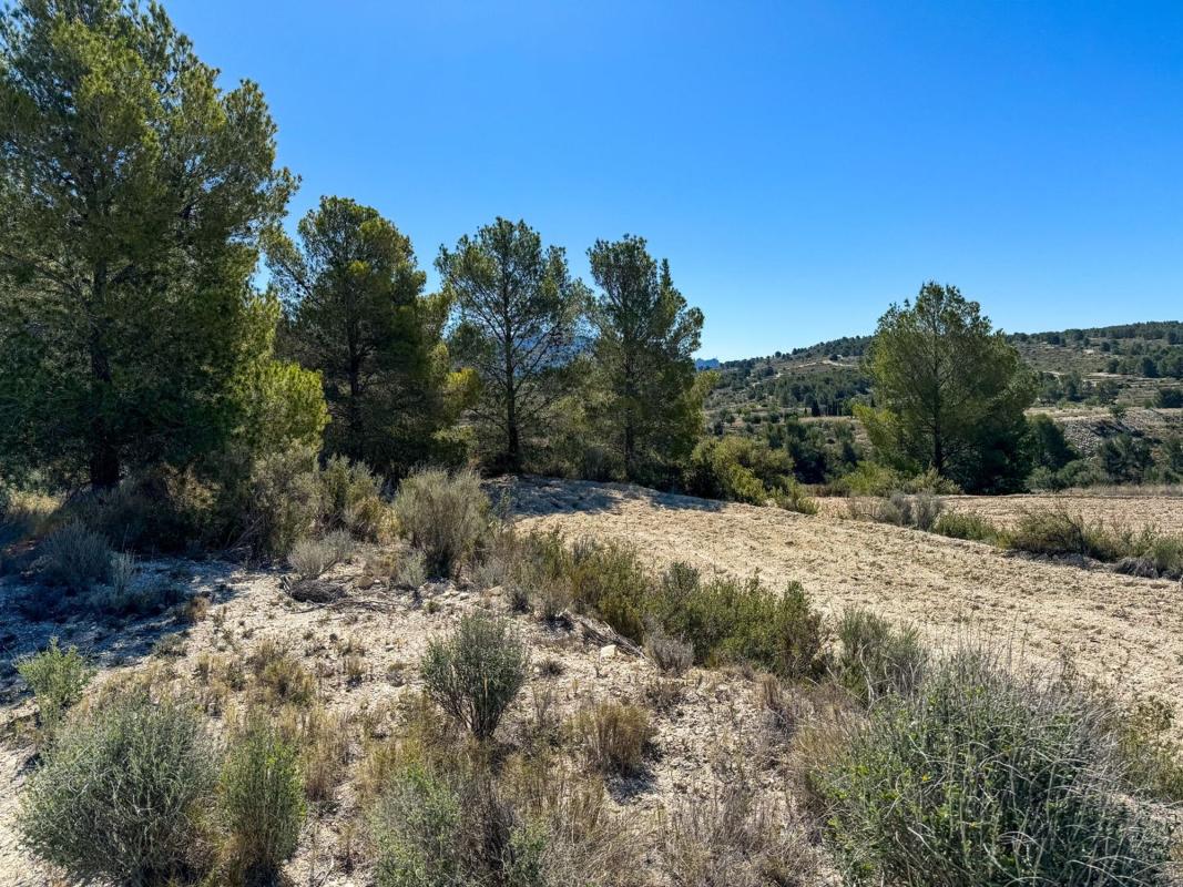 Terreno en venta en Jijona / Xixona, Alicante photo 1