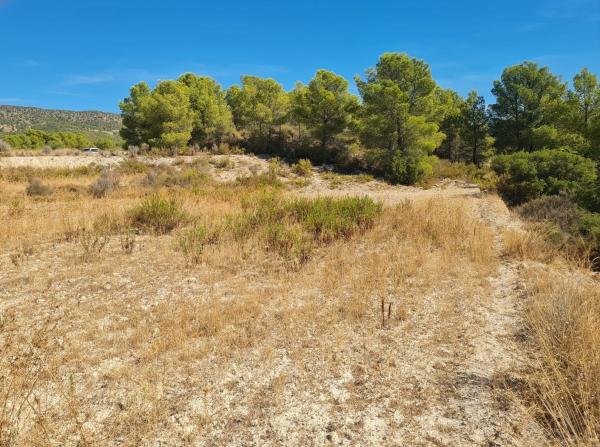 Terreno en Cv-780, Jijona / Xixona photo 2