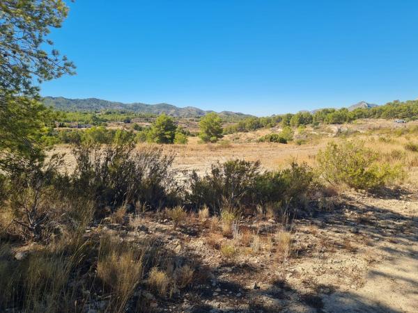 Terreno en Cv-780, Jijona / Xixona photo 3