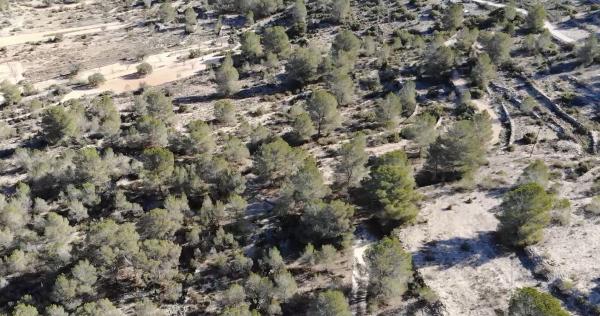 Terreno en Bellongues, Monovar photo 1