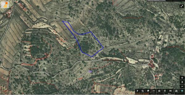 Terreno en Bellongues, Monovar photo 3