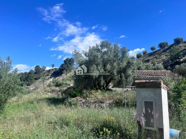 Terreno en Gorga photo 4