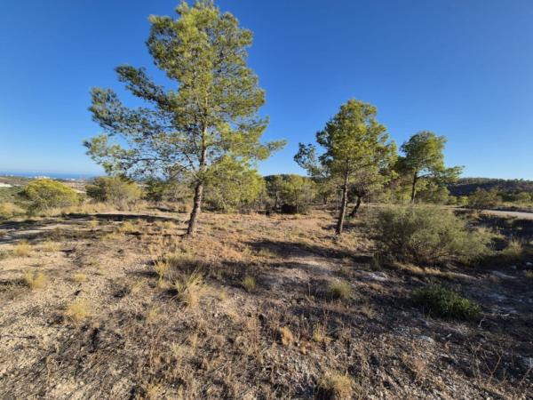 Terreno en El Secanet - Hacienda del Sol, La Villajoyosa / Vila Joiosa thumbnail 2