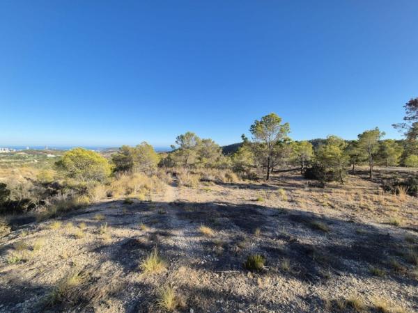 Terreno en El Secanet - Hacienda del Sol, La Villajoyosa / Vila Joiosa photo 4
