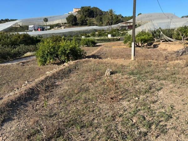 Terreno en Carretera Altea s/n, Callosa d'En Sarria photo 2