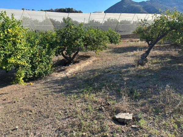 Terreno en Carretera Altea s/n, Callosa d'En Sarria photo 3