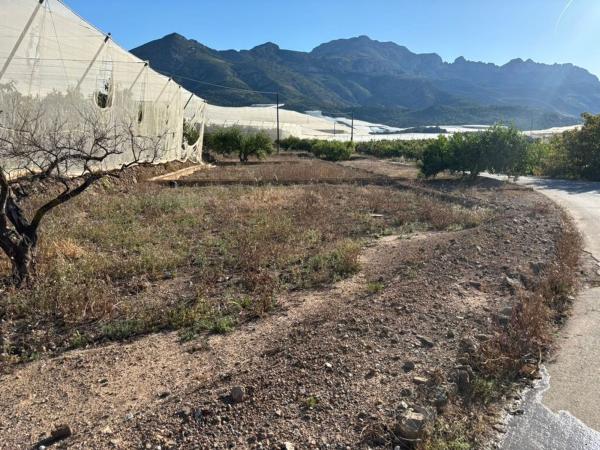 Terreno en Carretera Altea s/n, Callosa d'En Sarria photo 4