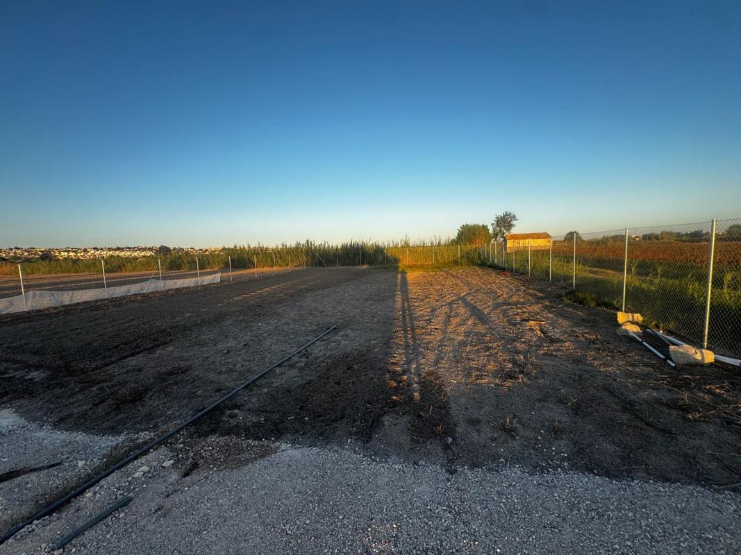Terreno en venta en San Fulgencio, Alicante photo 1