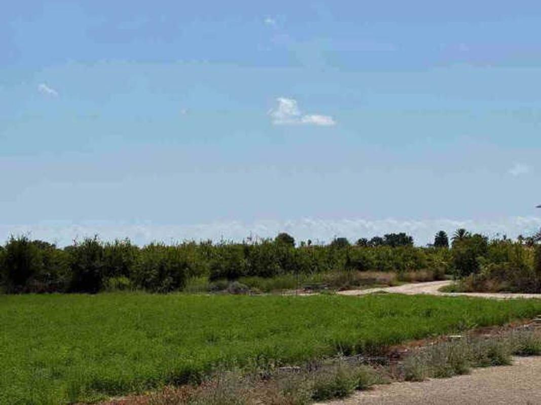 Działka na sprzedaż w Catral, Alicante photo 5