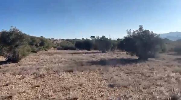 Terreno en Partida Cascante, 64 polgonoparcela, Cabanes y Las Fuentes, Villena photo 1
