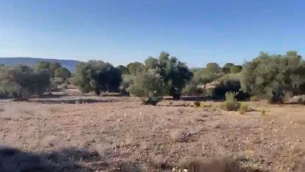 Terreno en Partida Cascante, 64 polgonoparcela, Cabanes y Las Fuentes, Villena thumbnail 2