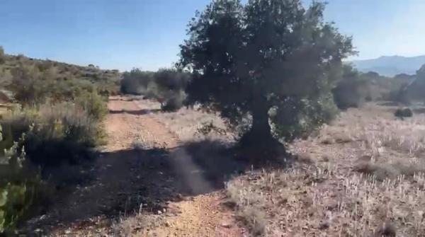 Terreno en Partida Cascante, 64 polgonoparcela, Cabanes y Las Fuentes, Villena thumbnail 3