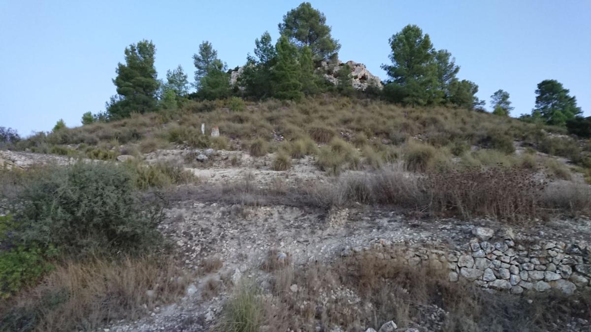 Terreno en venta en Pinoso, Alicante photo 2