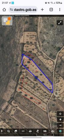 Terreno en Lugar Barbarroja, 264, La Murada-Los Vicentes, Orihuela thumbnail 2