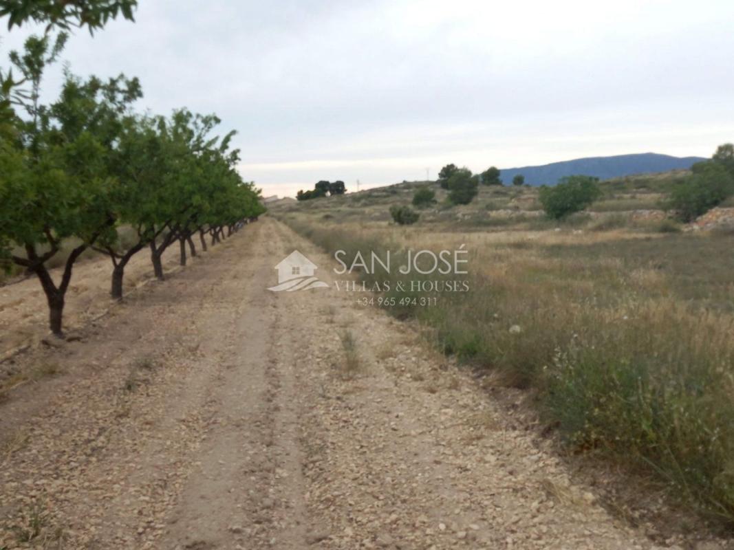 Land for sale in Monovar, Alicante photo 4