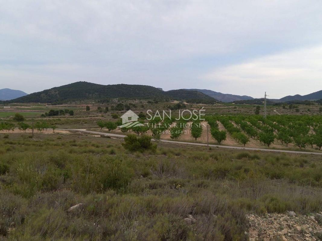Land for sale in Monovar, Alicante photo 5