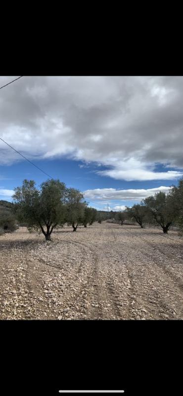 Terreno en venta en Salinas, Alicante photo 2