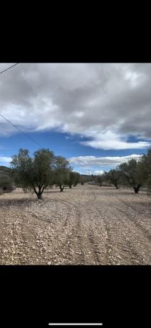Terreno en Paraje Alto Ideal, 27, Salinas thumbnail 2