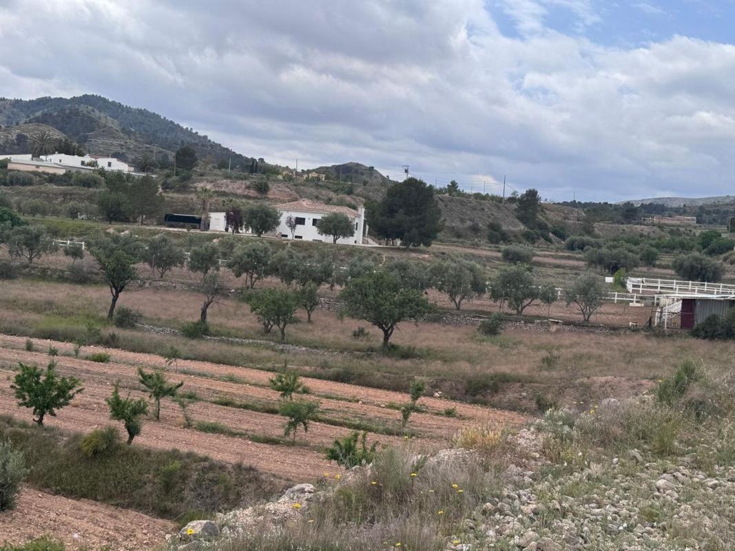 Terreno en venta en Elda, Alicante photo 1