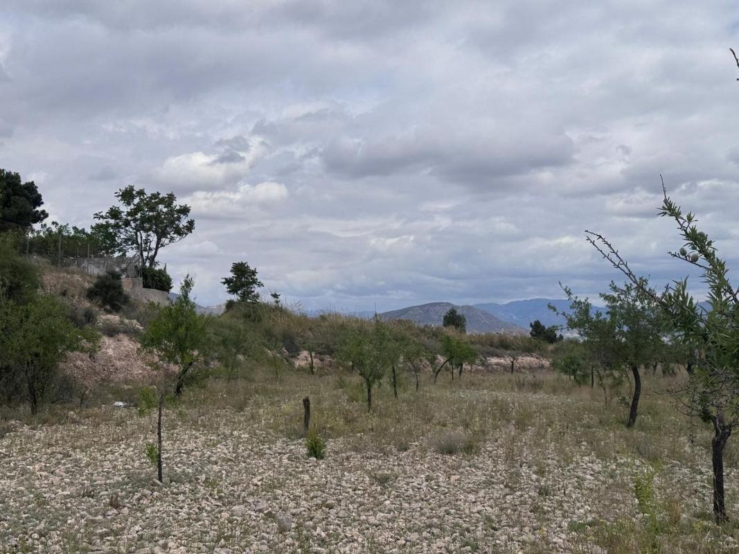 Terreno en venta en Elda, Alicante photo 2
