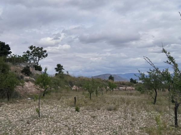 Terreno en suporaki, 3, Campo Alto, Elda thumbnail 2
