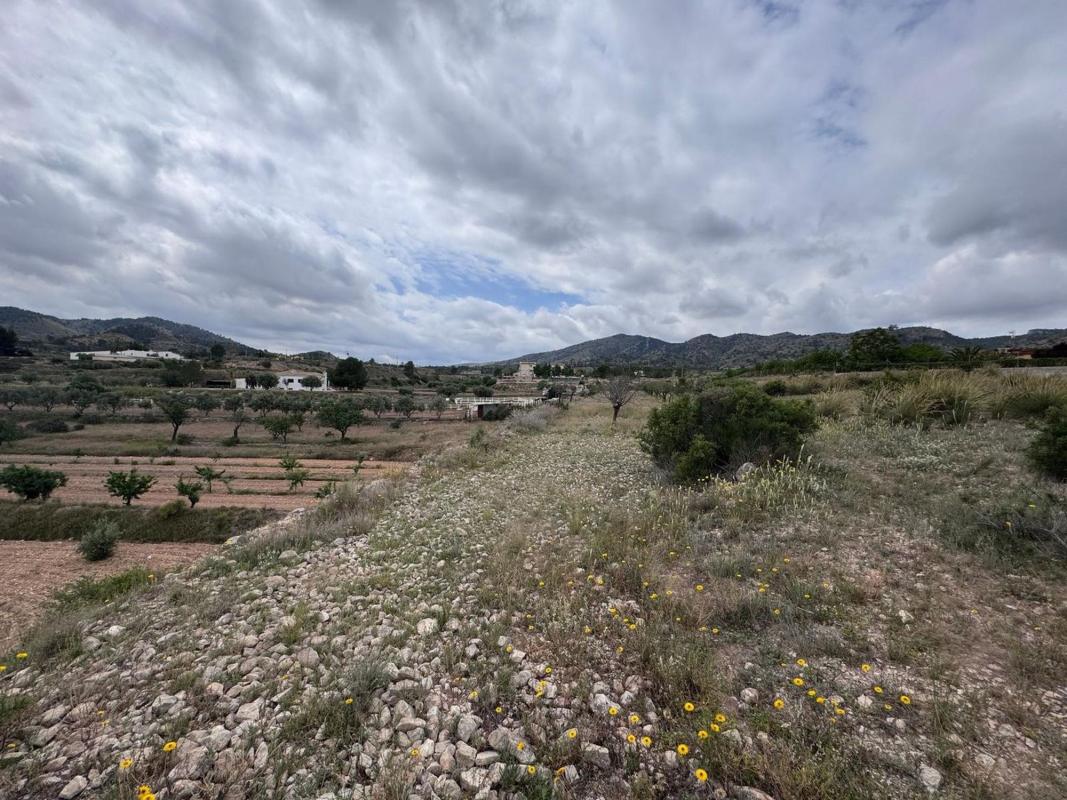 Terreno en venta en Elda, Alicante photo 3